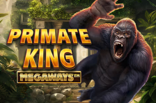 Primate_King